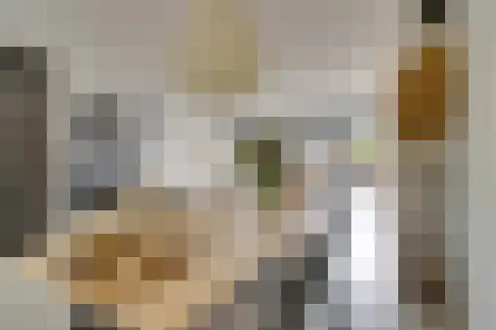 Zambezilaan 220 Purmerend thumbnail 25