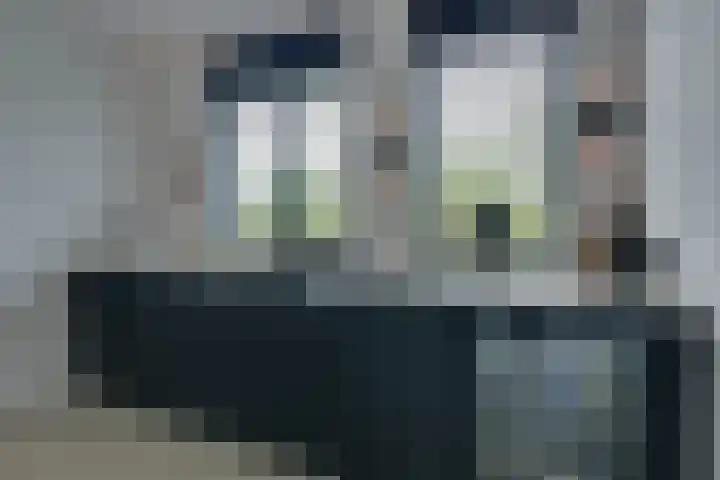 Zambezilaan 220 Purmerend thumbnail 27