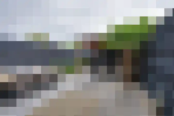 Zambezilaan 220 Purmerend thumbnail 30