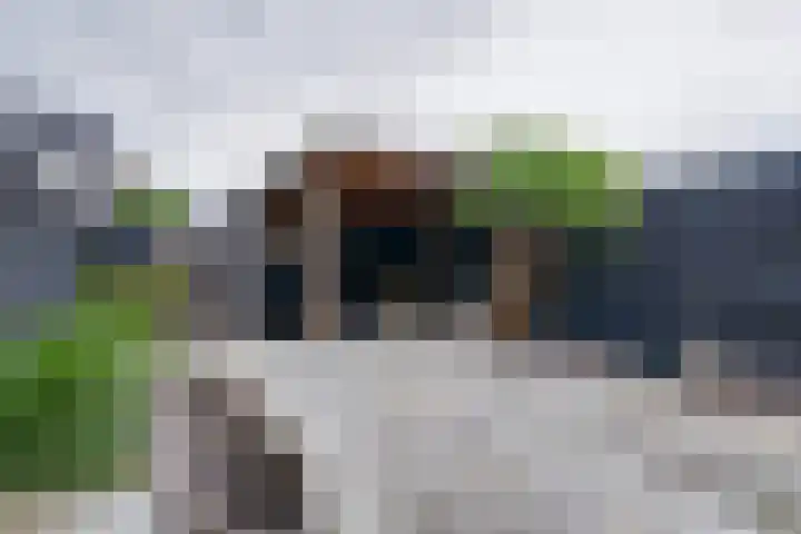 Zambezilaan 220 Purmerend thumbnail 34