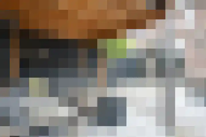 Zambezilaan 220 Purmerend thumbnail 35