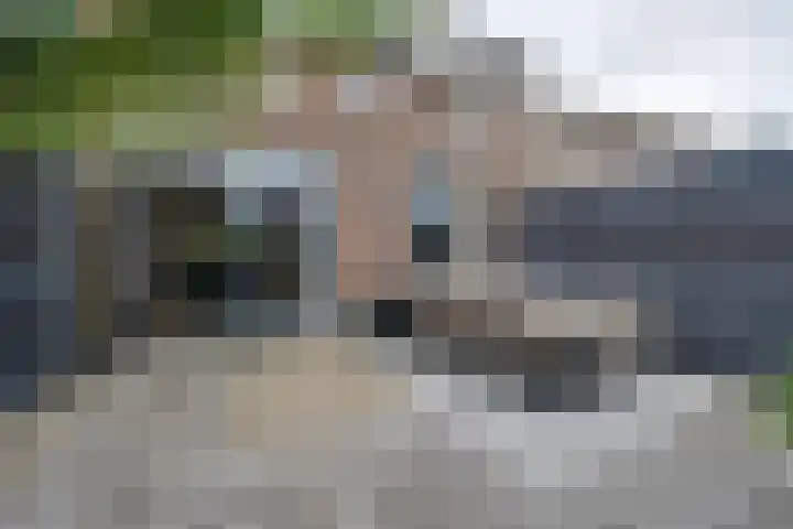 Zambezilaan 220 Purmerend thumbnail 36