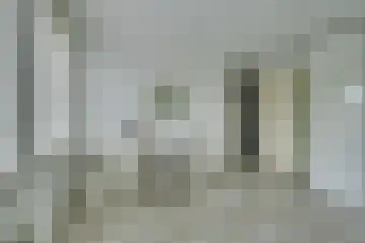 Zambezilaan 220 Purmerend thumbnail 43
