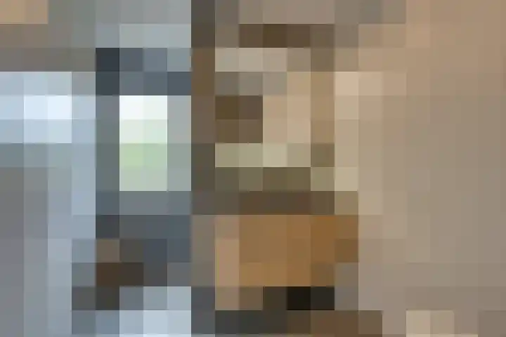Zambezilaan 220 Purmerend thumbnail 46