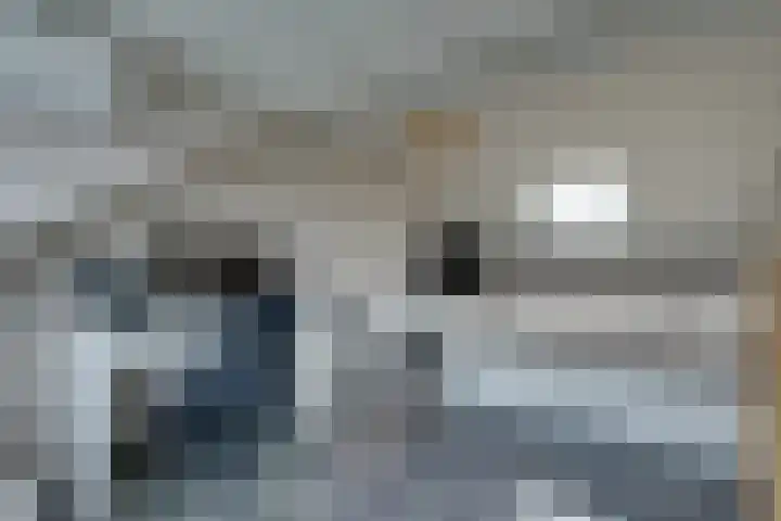 Zambezilaan 220 Purmerend thumbnail 49