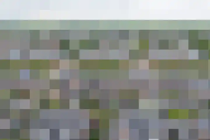 Zambezilaan 220 Purmerend thumbnail 53