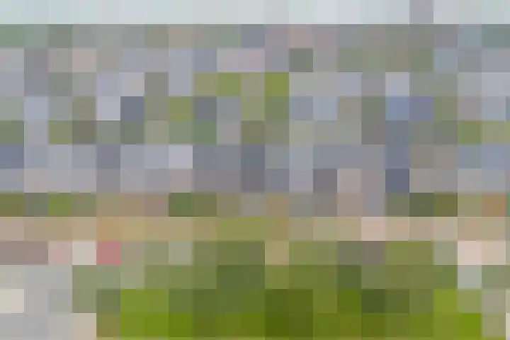 Zambezilaan 220 Purmerend thumbnail 54