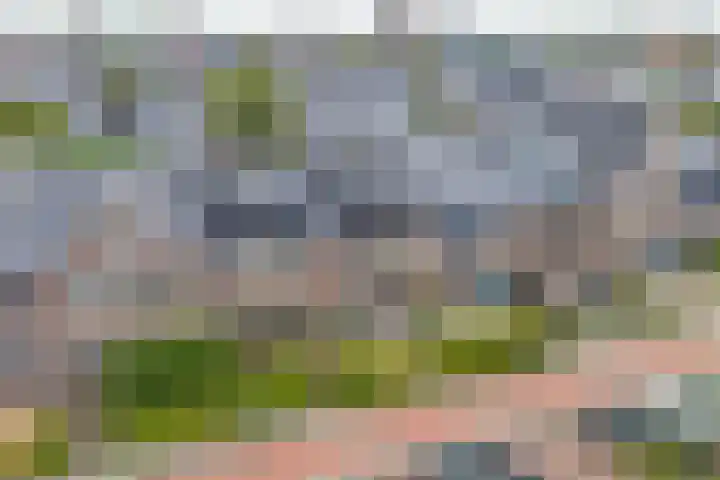 Zambezilaan 220 Purmerend thumbnail 7