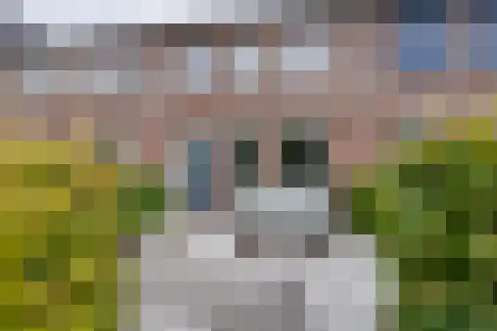 Zambezilaan 220 Purmerend thumbnail 8