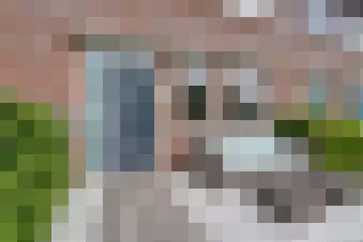 Zambezilaan 220 Purmerend thumbnail 9