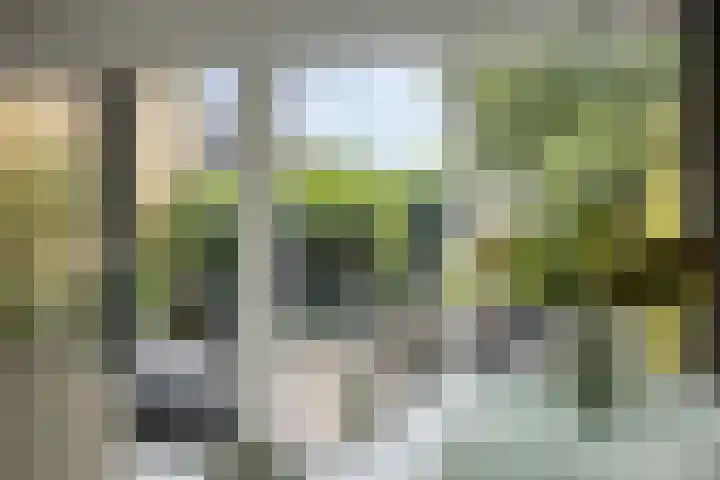 Zambezilaan 227 Purmerend thumbnail 11