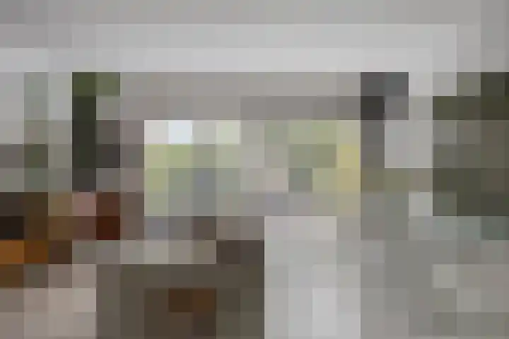 Zambezilaan 227 Purmerend thumbnail 12