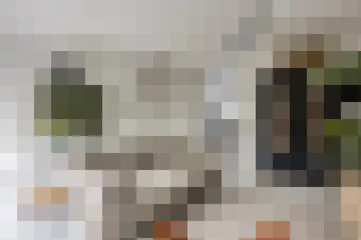 Zambezilaan 227 Purmerend thumbnail 14