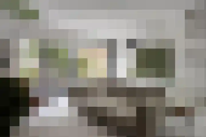 Zambezilaan 227 Purmerend thumbnail 15