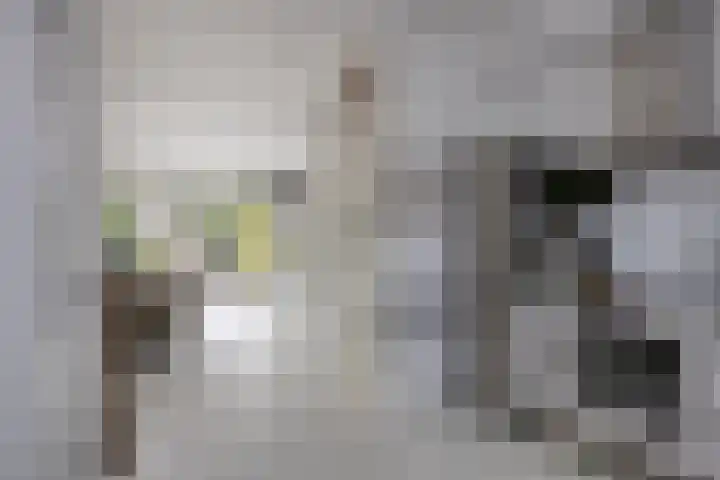 Zambezilaan 227 Purmerend thumbnail 16