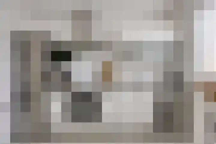 Zambezilaan 227 Purmerend thumbnail 18