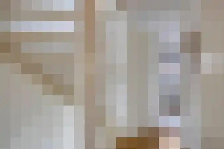 Zambezilaan 227 Purmerend thumbnail 20