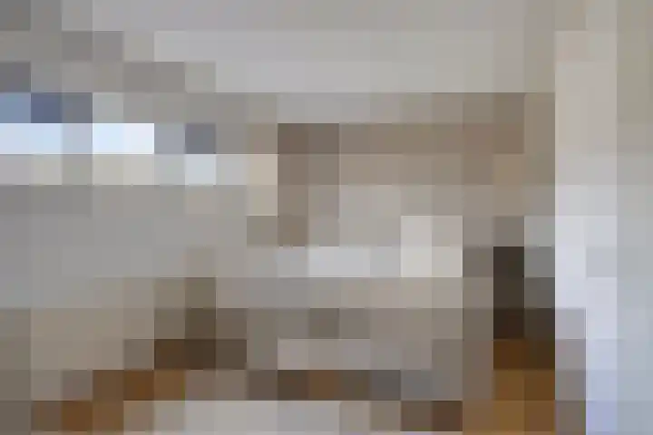 Zambezilaan 227 Purmerend thumbnail 22