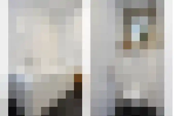 Zambezilaan 227 Purmerend thumbnail 23
