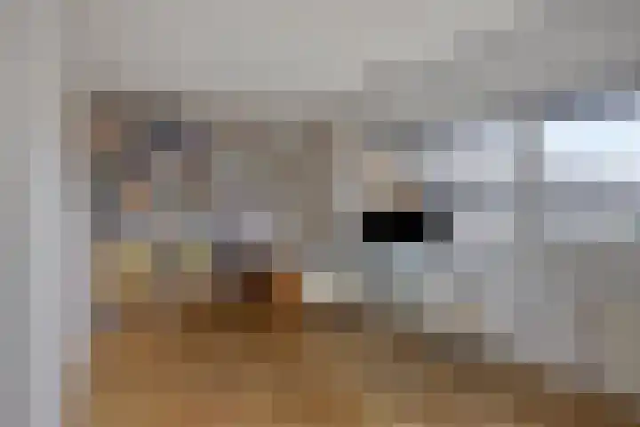 Zambezilaan 227 Purmerend thumbnail 26