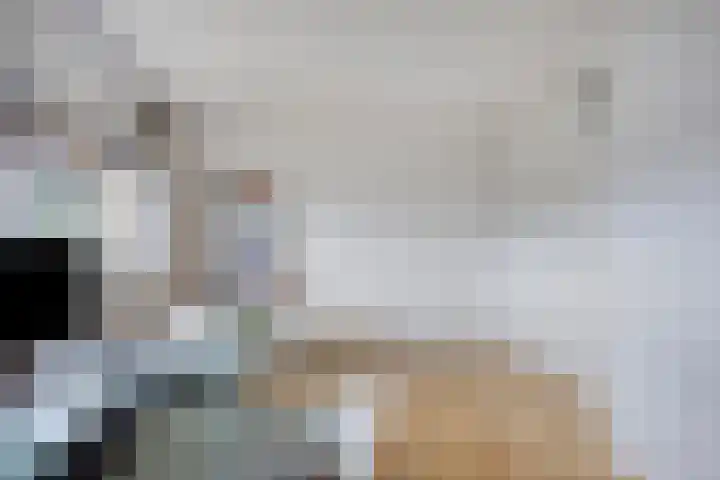 Zambezilaan 227 Purmerend thumbnail 27