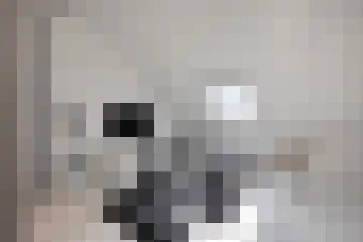 Zambezilaan 227 Purmerend thumbnail 28
