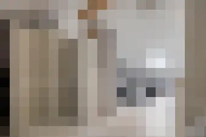 Zambezilaan 227 Purmerend thumbnail 32