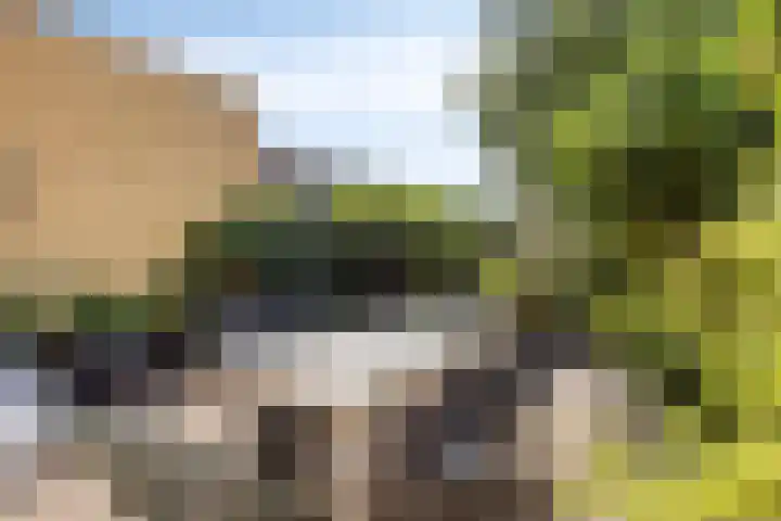 Zambezilaan 227 Purmerend thumbnail 36