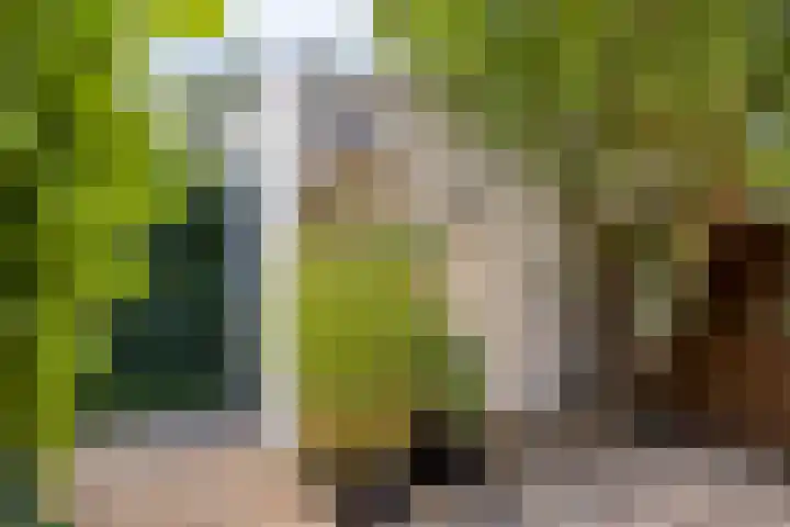 Zambezilaan 227 Purmerend thumbnail 37