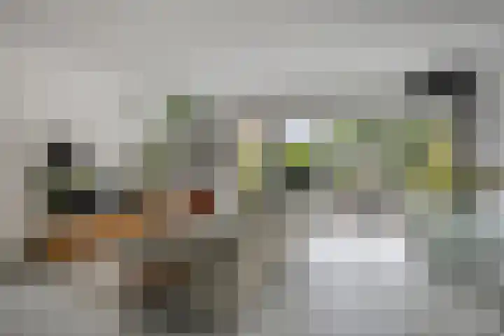 Zambezilaan 227 Purmerend thumbnail 4