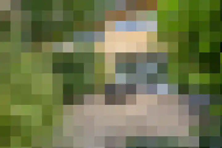 Zambezilaan 227 Purmerend thumbnail 40