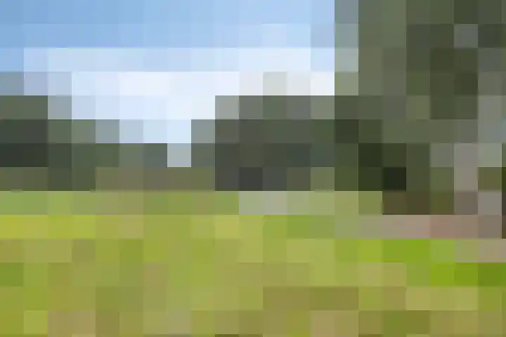 Zambezilaan 227 Purmerend thumbnail 43