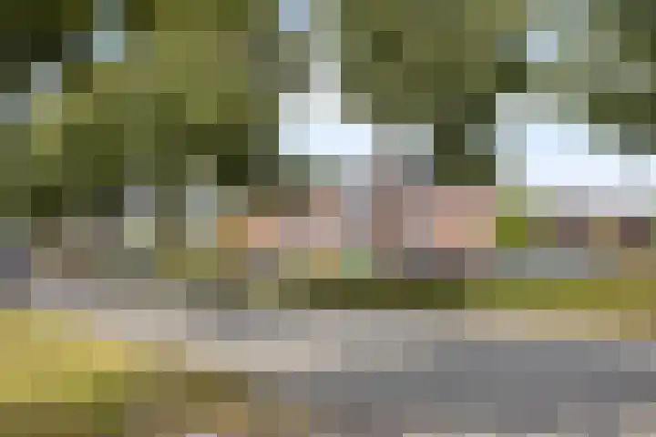 Zambezilaan 227 Purmerend thumbnail 44