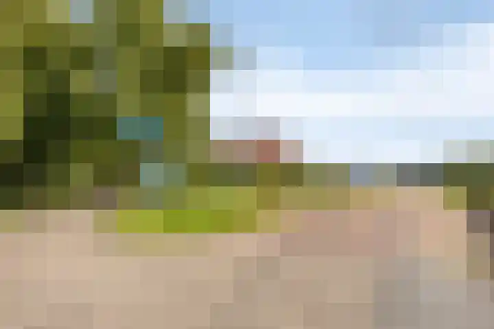 Zambezilaan 227 Purmerend thumbnail 45