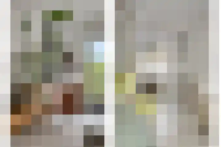 Zambezilaan 227 Purmerend thumbnail 7
