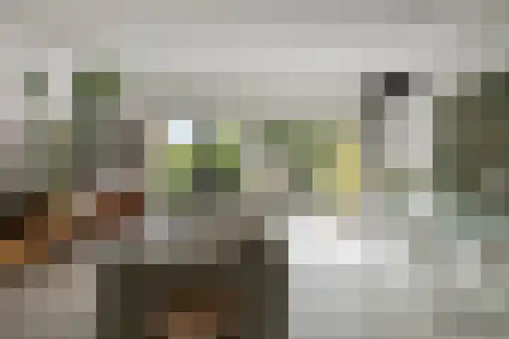 Zambezilaan 227 Purmerend thumbnail 8