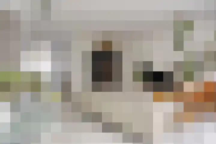 Zambezilaan 227 Purmerend thumbnail 9
