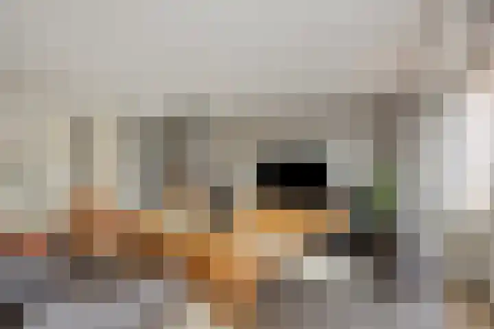 Zambezilaan 236 Purmerend thumbnail 12