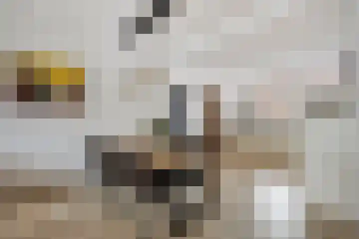 Zambezilaan 236 Purmerend thumbnail 15