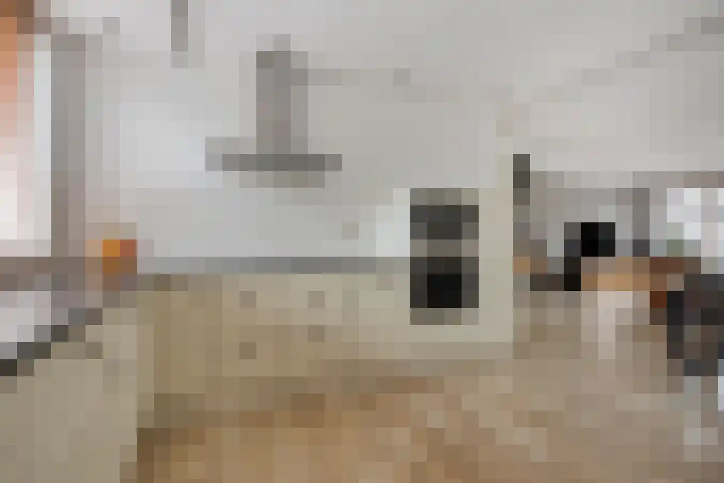 Zambezilaan 236 Purmerend thumbnail 18