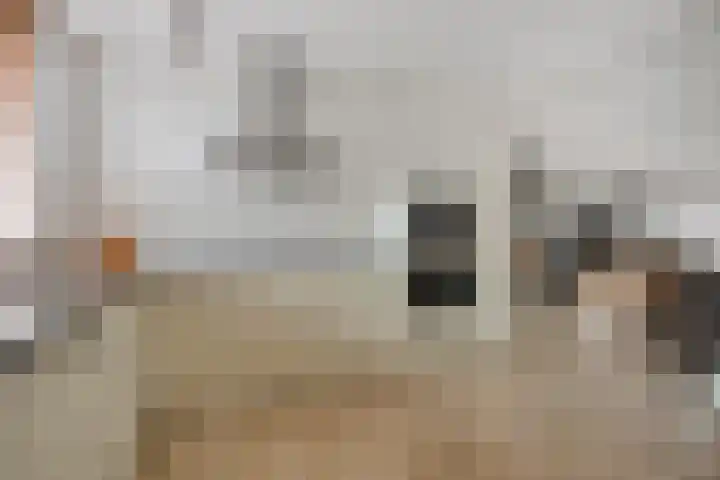 Zambezilaan 236 Purmerend thumbnail 18