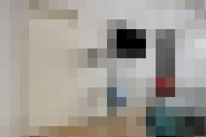 Zambezilaan 236 Purmerend thumbnail 21
