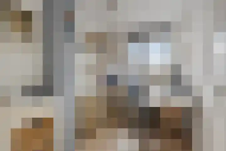Zambezilaan 236 Purmerend thumbnail 25
