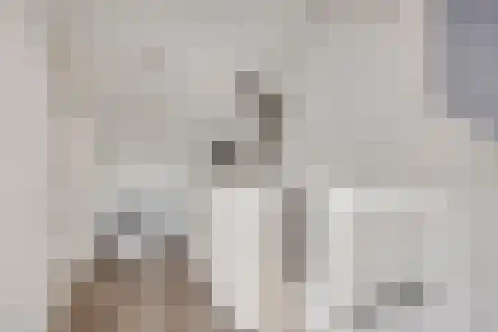 Zambezilaan 236 Purmerend thumbnail 26