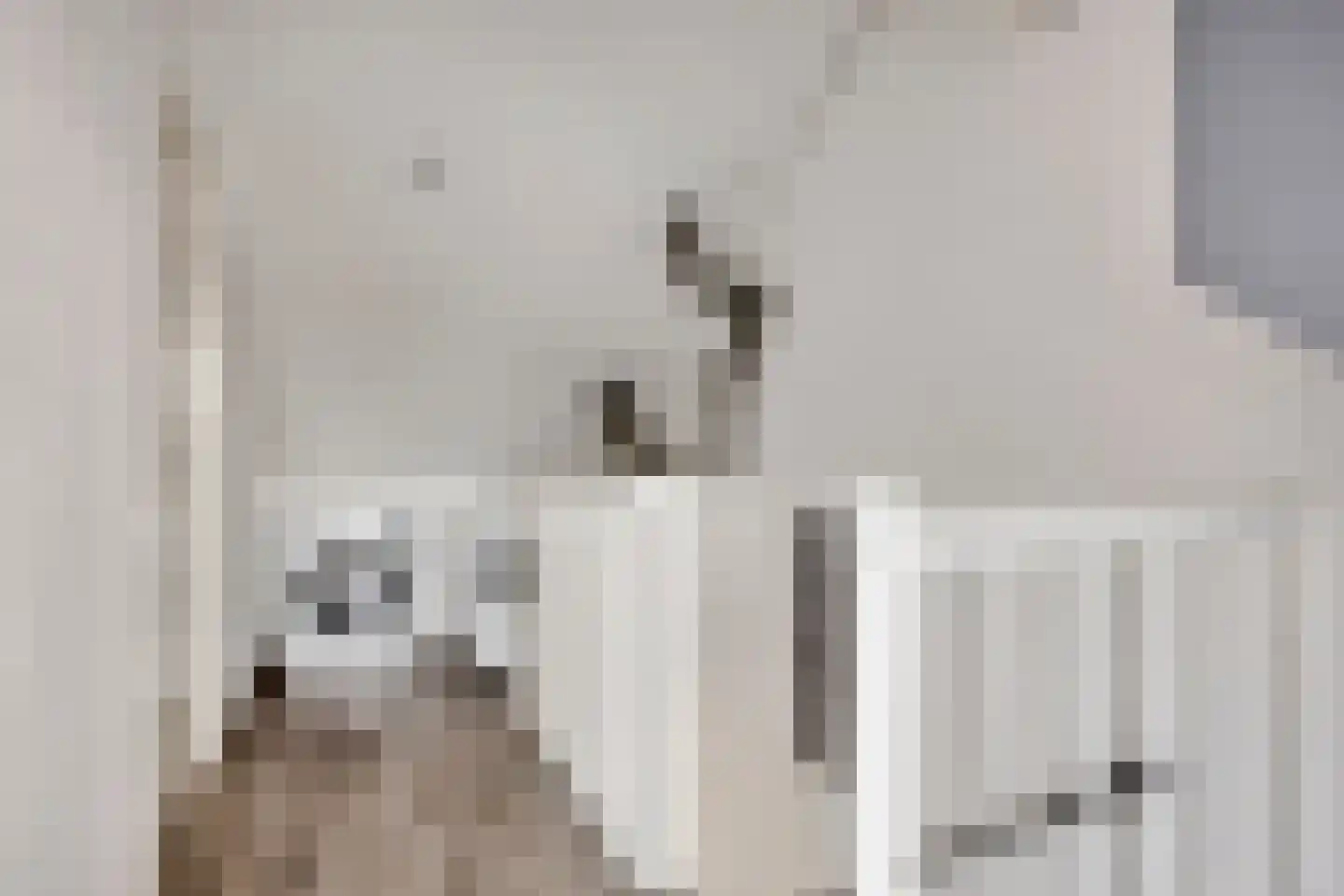 Zambezilaan 236 Purmerend thumbnail 26
