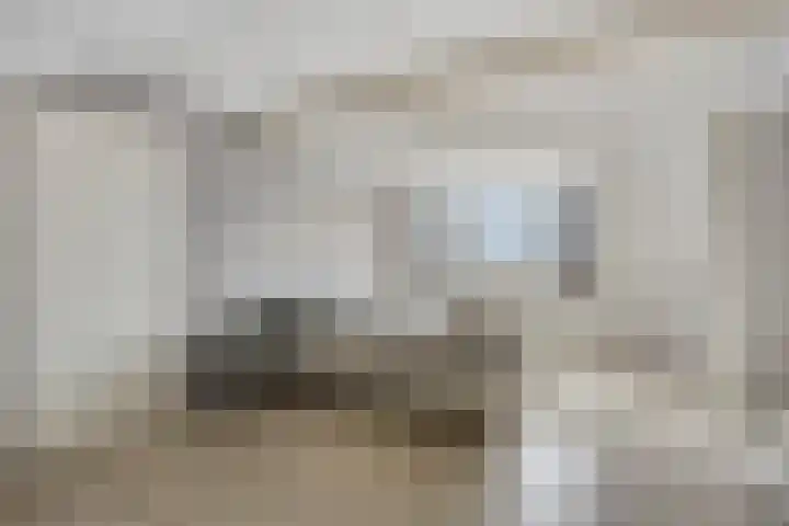 Zambezilaan 236 Purmerend thumbnail 28