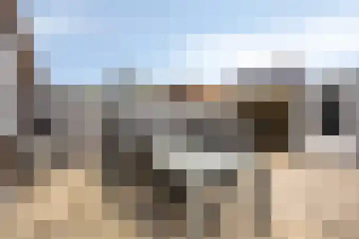 Zambezilaan 236 Purmerend thumbnail 30