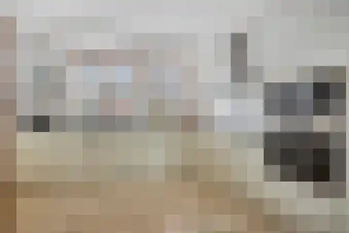 Zambezilaan 236 Purmerend thumbnail 4