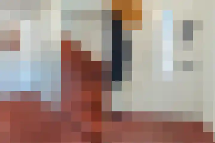 Zambezilaan 247 Purmerend thumbnail 11