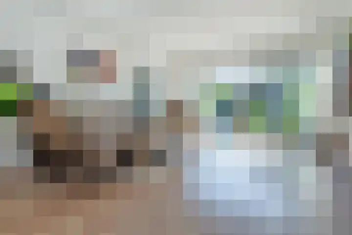 Zambezilaan 247 Purmerend thumbnail 12